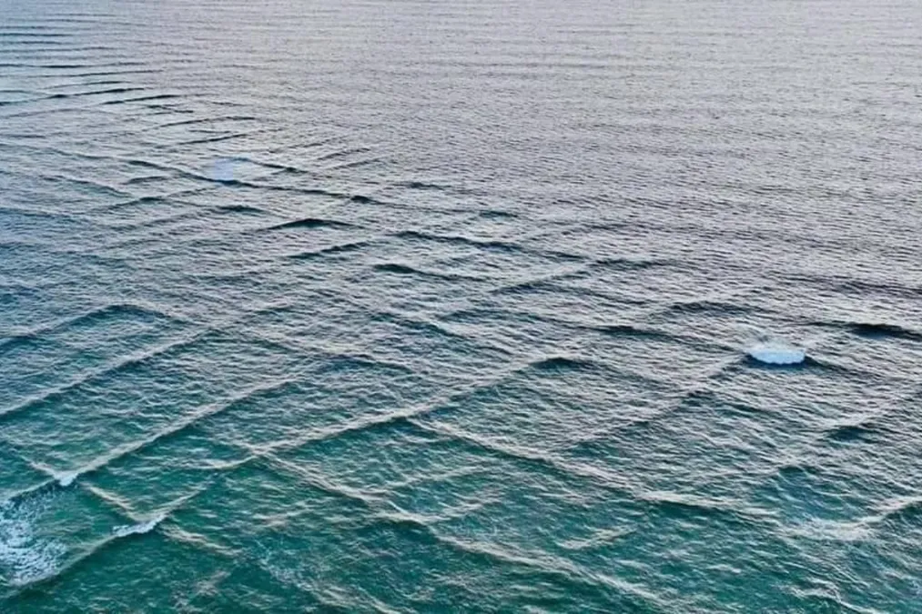 Fenomena Aneh Gelombang Kotak di Laut Turki, Bisa Berbahaya?