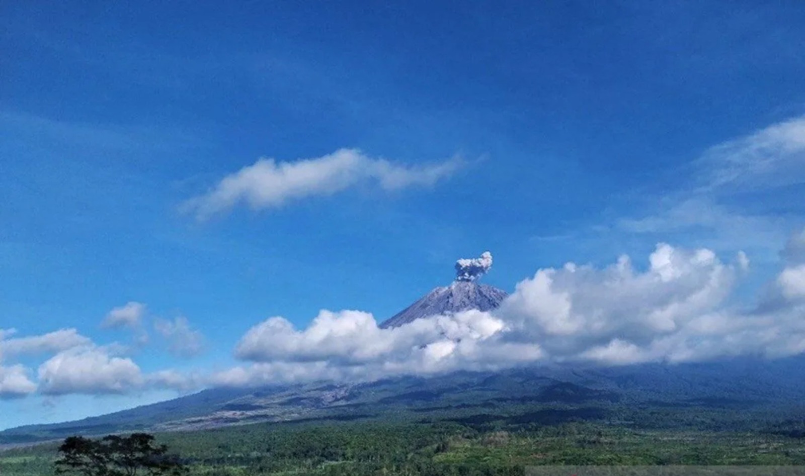 Gunung Semeru Erupsi, Kolom Abu Capai 800 Meter di Atas Puncak