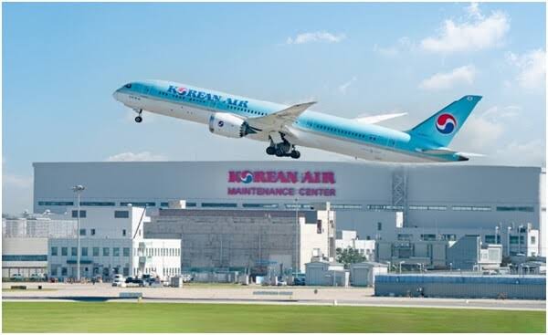 Heboh! Pilot dan Co-Pilot Korean Air Adu Jotos Gegara Debat Soal Presiden Korsel
