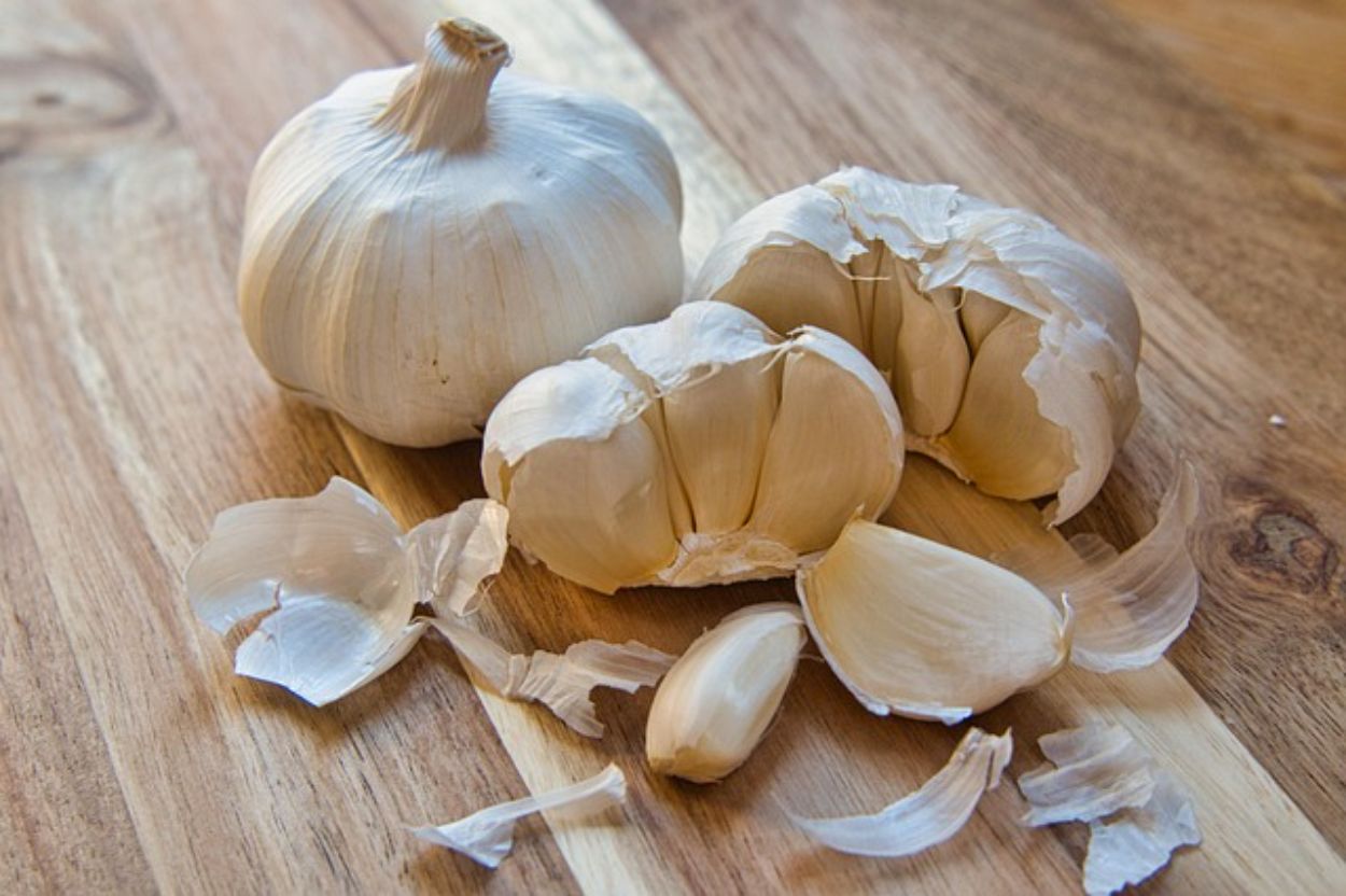 Ironis! Impor Bawang Putih Jalan Terus, Swasembada Cuma Wacana?