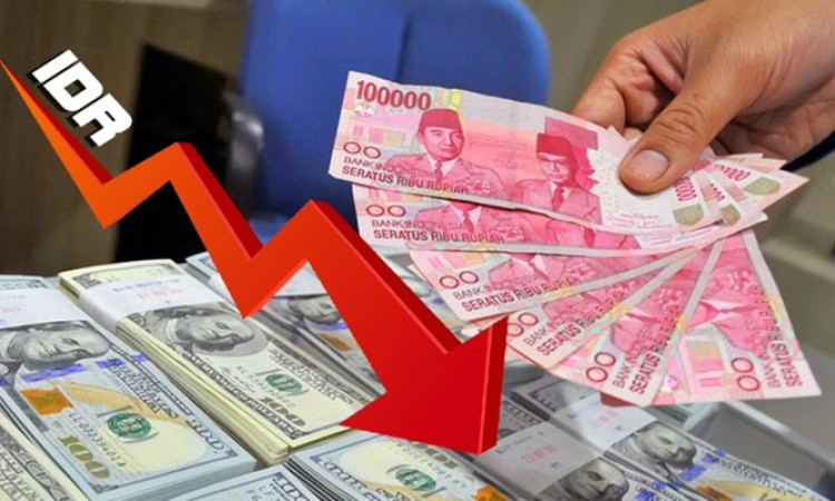 Jangan Tutup Mata Atas Faktor Internal Pelemah Nilai Tukar Rupiah