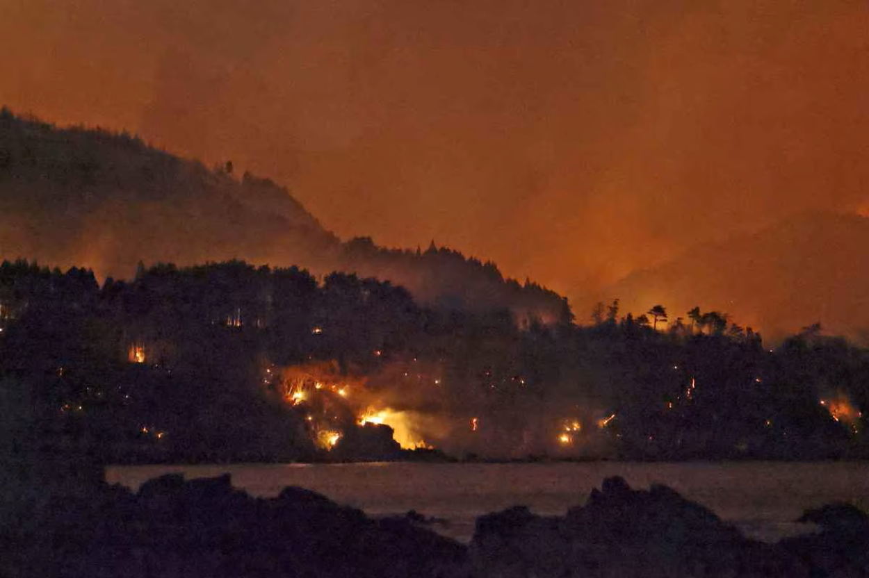 Kebakaran Hutan Ofunato Meluas akibat Kekeringan dan Angin Kencang