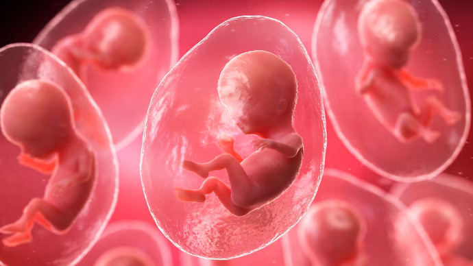 Keren! Bayi Pertama di Dunia Lahir Berkat Teknologi IVF, Sepenuhnya Digerakkan AI