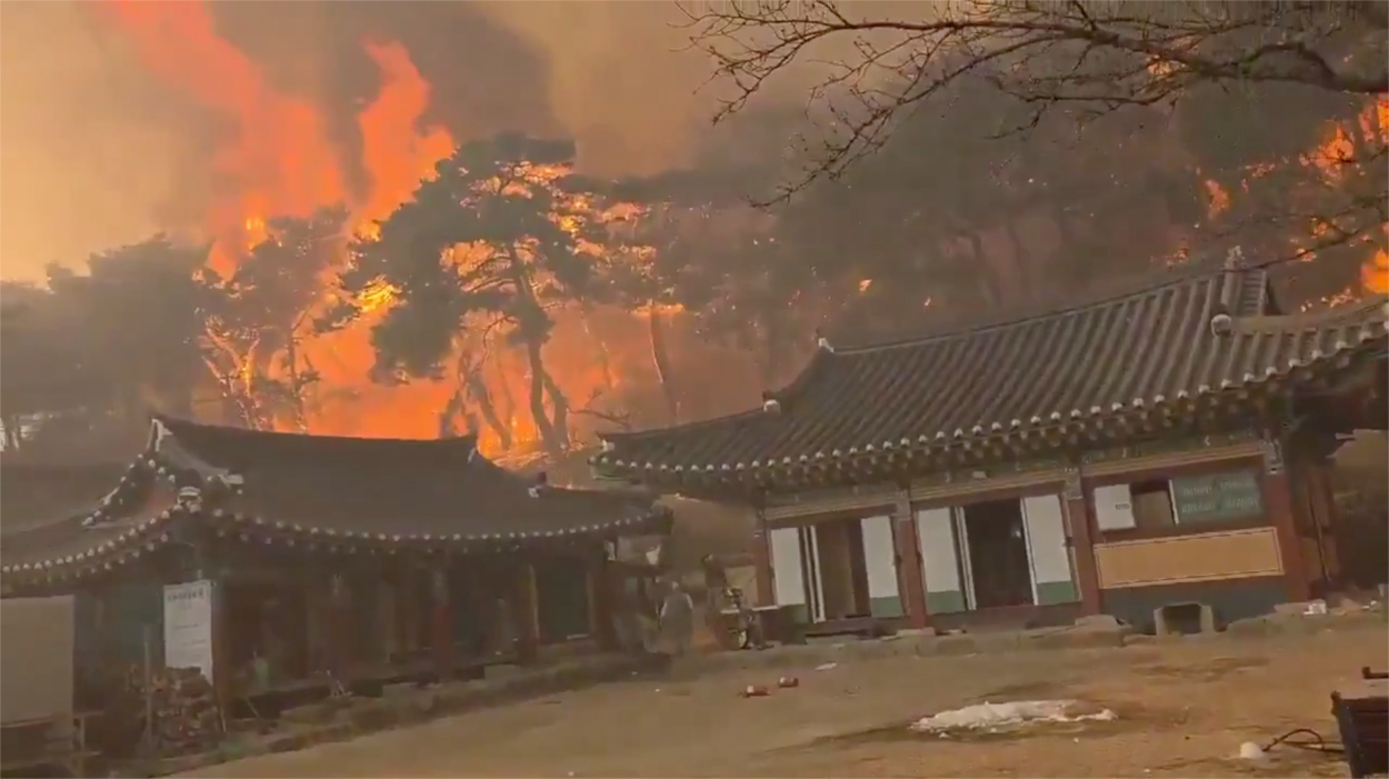 Korea Selatan Dilanda Kebakaran Hutan Terburuk dalam Sejarah