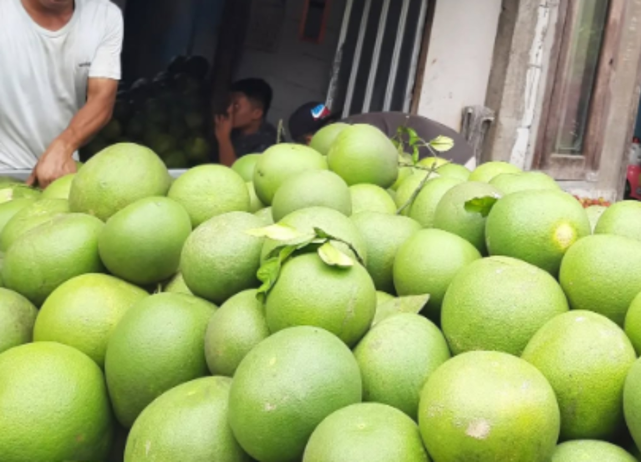 Makanan yang Perlu Dihindari Saat Mengonsumsi Obat-Obatan