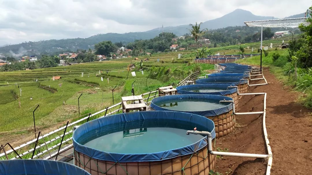 Menggaet Investor Melalui Identifikasi Potensi Unggulan di Daerah