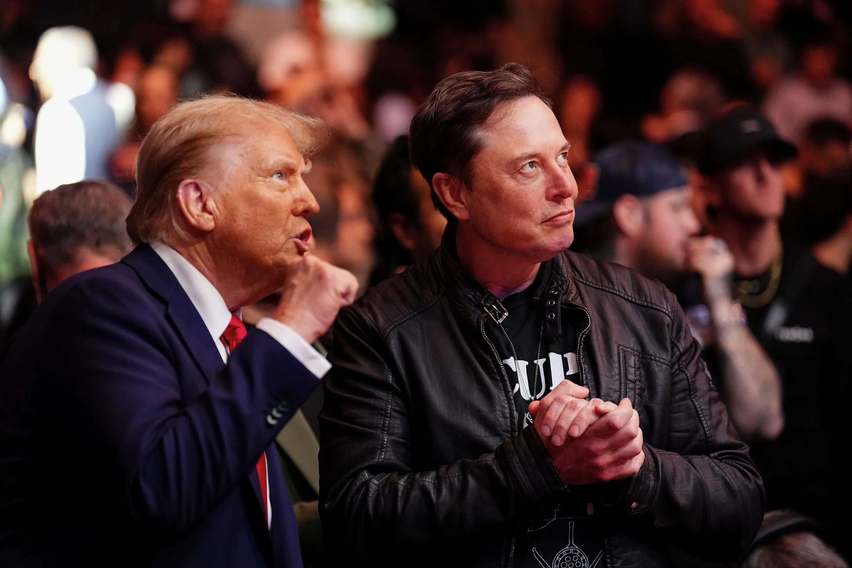 TikTok Diincar Elon Musk dan Larry Ellison, Presiden Trump Kasih Lampu Hijau