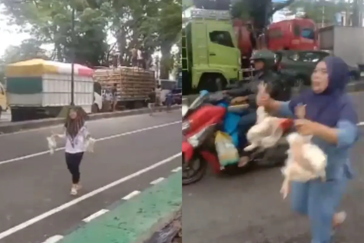 Viral! Sopir Truk di Maros Bagi-Bagi Ayam Hidup ke Warga Gara-Gara Banjir